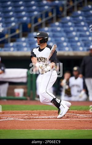 Ray Hernandez - 2018 - Baseball - Alabama State University Athletics