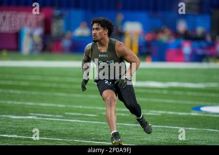 Chicago Bears linebacker Noah Sewell (44) lines up on defense during an NFL  football game against the Indianapolis Colts, Saturday, Aug. 19, 2023, in  Indianapolis. (AP Photo/Zach Bolinger Stock Photo - Alamy