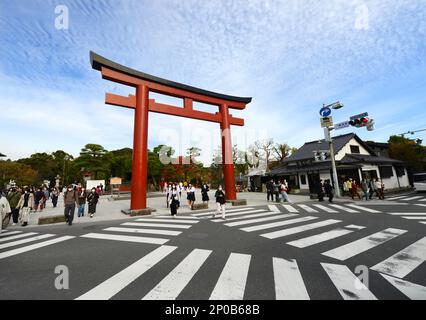 The main Tori ( Shrine gate ) of the Tsurugaoka Hachimangū Shrine in Kamakura, Japan. Stock Photo