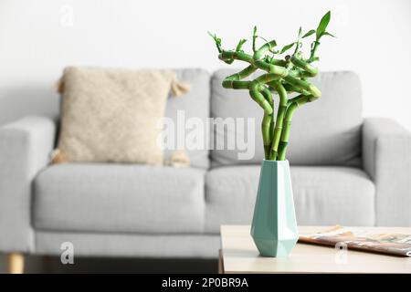 Vase with bamboo plant on table in living room Stock Photo - Alamy