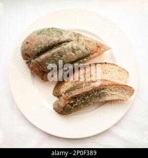 Spoiled cut loaf covered with green mold isolated. Beautiful old moldy bread sliced on a white plate. Expired bakery food Stock Photo