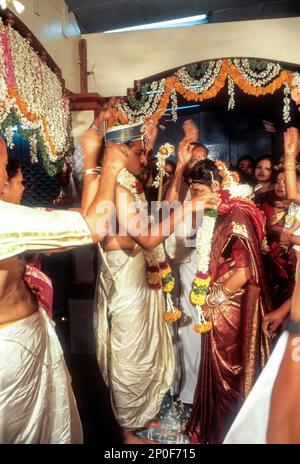 Exchanging garlands; wedding sequence of Udupi Shivalli Madhwa Brahmin, Karnataka, India Stock Photo