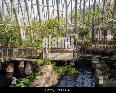 Interior Of The Pangolin Dome At Taipei Zoo In Taipei, Taiwan. The ...