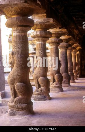 Lion Pillared Corridor in Thiru Parameswara Vinnagaram or Vaikunta Perumal Temple in Kancheepuram Kanchipuram, Tamil Nadu, South India, India, Asia Stock Photo