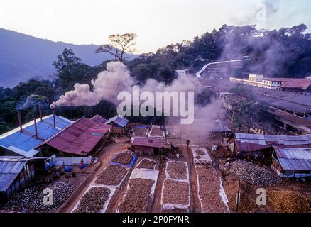 Aerial view of broken coconuts in Lord Ayyappan temple, Sabarimala, kerala, South India, India, Asia Stock Photo