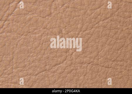 beige suede fabric. Close-up of a faux suede or nubuck fabric. Sewing  accessories and fabrics. Short pile texture. Stock Photo