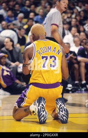 Did you know that Dennis Rodman once played for the LA Lakers? We