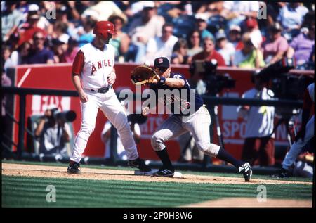 Doug Mientkiewicz of the Minnesota Twins during a game against the Anaheim  Angels at Angel Stadium circa 1999 in Anaheim, California. (Larry  Goren/Four Seam Images via AP Images Stock Photo - Alamy