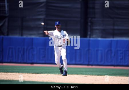 Adrian Beltre of the Los Angeles Dodgers bats during a 2002 MLB season game  at Dodger Stadium, in Los Angeles, California. (Larry Goren/Four Seam Images  via AP Images Stock Photo - Alamy