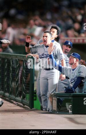 Adrian Beltre of the Los Angeles Dodgers bats during a 2002 MLB season game  at Dodger Stadium, in Los Angeles, California. (Larry Goren/Four Seam Images  via AP Images Stock Photo - Alamy