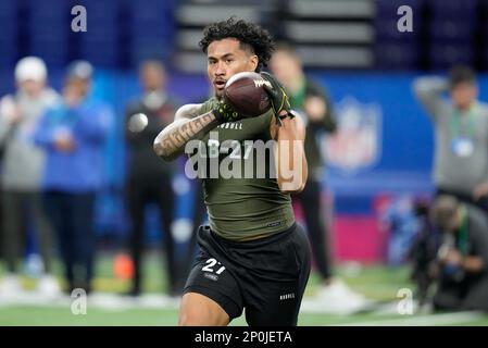 Chicago Bears linebacker Noah Sewell (44) lines up on defense during an NFL  football game against the Indianapolis Colts, Saturday, Aug. 19, 2023, in  Indianapolis. (AP Photo/Zach Bolinger Stock Photo - Alamy