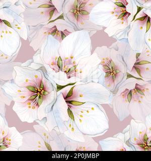Dusty pink floral watercolor seamless pattern with almond flowers and white cherry blooming for Mother's day and wedding. Stock Photo