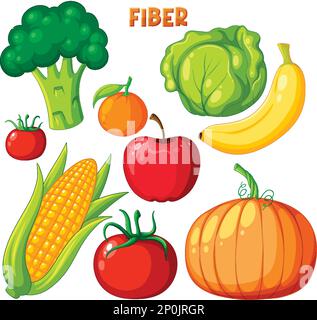 Vegetables and fruits fiber foods group illustration Stock Vector