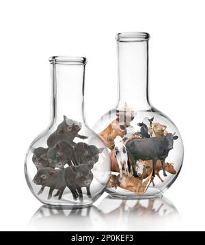 Small cows and pigs in laboratory flasks on white background. Cultured meat concept Stock Photo