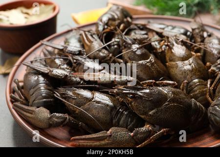 Fresh raw crayfishes on grey table, closeup Stock Photo