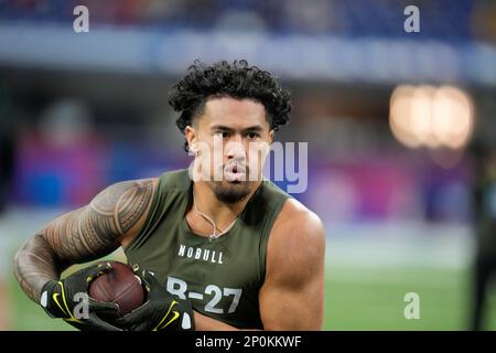 Chicago Bears linebacker Noah Sewell (44) lines up on defense during an NFL  football game against the Indianapolis Colts, Saturday, Aug. 19, 2023, in  Indianapolis. (AP Photo/Zach Bolinger Stock Photo - Alamy