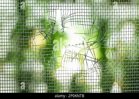 Torn window screen against blurred background, closeup Stock Photo