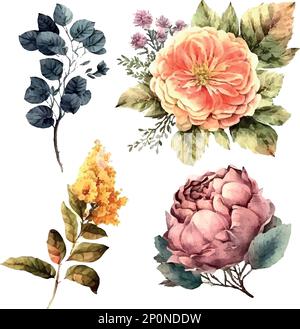 Dusty pink and cream rose, peony, hydrangea flower, vector garland wedding bouquet. Eucalyptus, greenery.Floral pastel watercolor style.Spring bouquet Stock Vector
