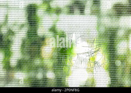 Torn window screen against blurred background, closeup Stock Photo