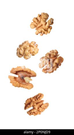 Halves of walnuts falling on white background Stock Photo