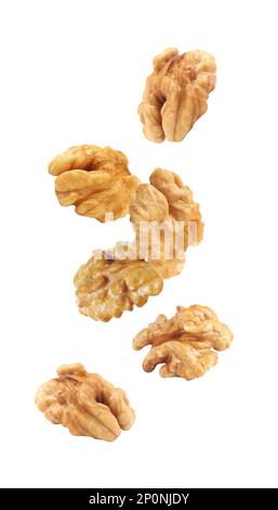 Halves of walnuts falling on white background Stock Photo