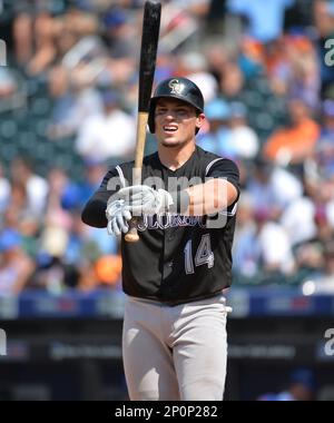 Colorado Rockies catcher Tony Walters (14) during game against the New York  Mets at Citi Field in Queens, New York, July 28, 2016. Rockies defeated  Mets 2-1. (Tomasso DeRosa via AP Stock Photo - Alamy