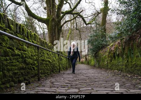 West Yorkshire, UK. A woman walking up the steep path from Hebden Bridge to Heptonstall; a popular walk for visitors to the area. Stock Photo