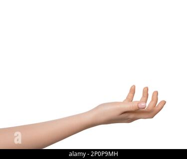 Female hand palm up, isolate on white background Stock Photo