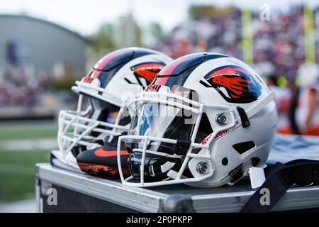 October 22, 2016: Oregon State kicker Adley Rutschman (87