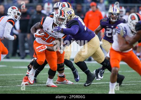 October 22, 2016: Oregon State kicker Adley Rutschman (87