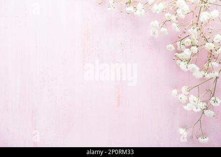Tiny  white flowers ( Gypsophila) on a light pink shabby wooden background. Top view with copy space. Flat lay. Selective focus Stock Photo