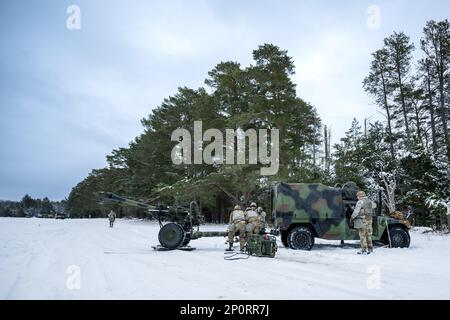 A gun team from the 1-120th Field Artillery Regiment, Wisconsin Army National Guard, set up a M119 howitzer during Northern Strike 23-1, Jan. 25, 2023, at Camp Grayling, Mich. Units that participate in Northern Strike’s winter iteration build readiness by conducting joint, cold-weather training designed to meet objectives of the Department of Defense’s Arctic Strategy. Stock Photo