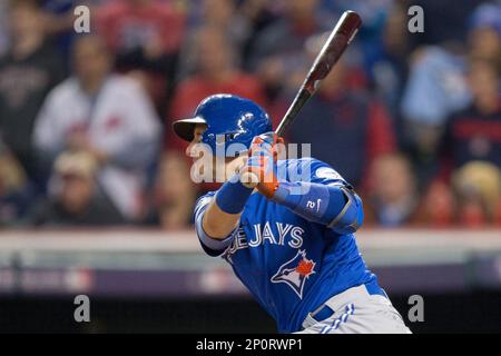 Toronto Blue Jays fans get in the spirit before the first inning of game 1  of the American League Championship Series at Progressive Field in  Cleveland, Ohio on October 14, 2016. Photo