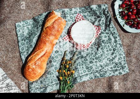 Summer romantic rustic picnic on the plaid. French style. Baguette, cheese, open book from above Stock Photo