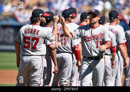 Washington Nationals Third Baseman Ryan Zimmerman Editorial Stock Photo -  Stock Image