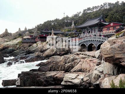 Busan, South Korea - May 2019: Haedong Yonggungsa temple with wave on sea rocks and asian architecture Stock Photo