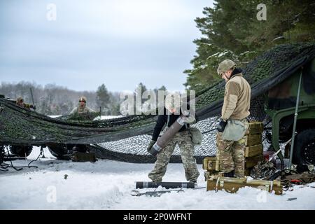Army Sgt. Meranda Leisgana and Sgt. Trayton Pankratz, 1-120th Field Artillery Regiment, carries a tube of 105mm High Explosive shell for the M119 howitzer during Northern Strike 23-1, Jan. 25, 2023, at Camp Grayling, Mich. Units that participate in Northern Strike’s winter iteration build readiness by conducting joint, cold-weather training designed to meet objectives of the Department of Defense’s Arctic Strategy. Stock Photo