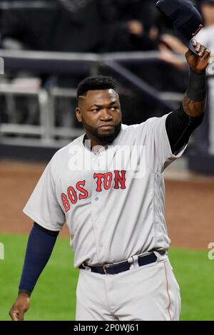 Someone is trying to get thousands to moon David Ortiz at Yankee