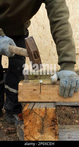 rural carpenter builds a wooden structure by hammering a large nail into an old wooden beam, building a barn in the countryside using a hand tool Stock Photo