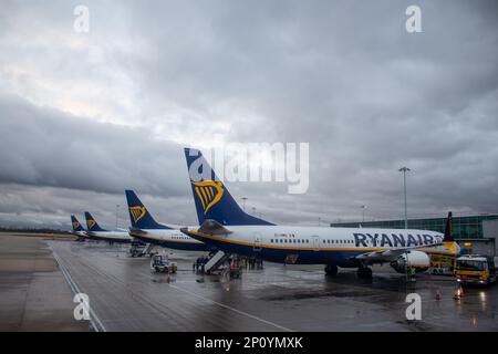 Ryan Air planes at Stansted Airport. Credit: Sinai Noor / Alamy Stock Photo Stock Photo