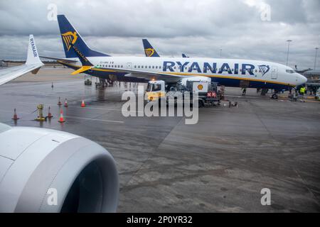 Ryan Air planes at Stansted Airport. Credit: Sinai Noor / Alamy Stock Photo Stock Photo