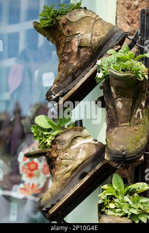 Plants growing out of old and discarded boots used as plant pots ...