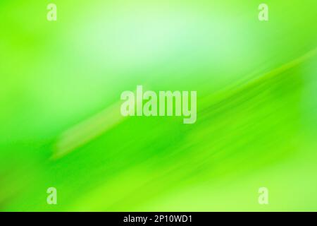 Green blurred background with copy space. Green  blurry unfocused photographic effect. Stock Photo