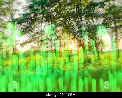 Blurry abstract garden. Summer garden background and sun flares. Stock Photo