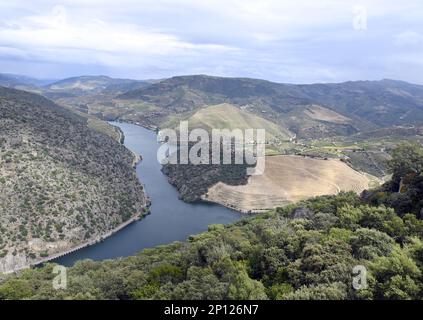 panoramic view of Douro river valley wineyards, Portugal Stock Photo