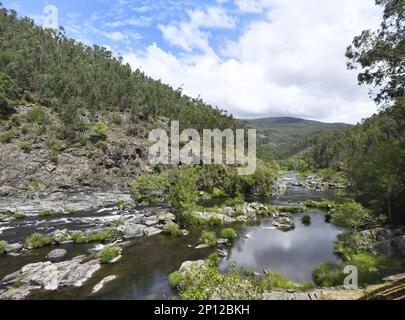 The wooden walkways in Passadicos do Paiva, paiva river, portugal Stock Photo