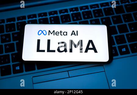 LLama - Meta platforms AI artificial intelligence chatbot Stock Photo