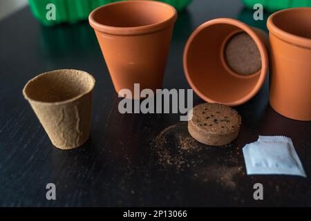 Pots with pressed earth for planting herbs seeds. Stock Photo