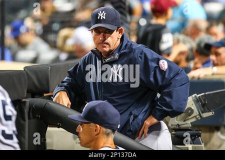 New York Yankees first baseman Andy Phillips (R) is congratulated