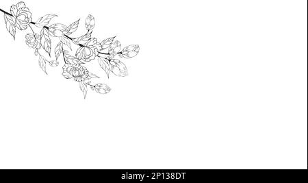 Gentle floral background from flower branches and buds, flower arrangement. Hand drawing. For stylized decor, invitations, cards, posters, flyers Stock Photo